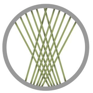 Grafschafter Moorhunde Dogwalking Hundebetrauung Hundeschule Hundetraining Gassiservice Hundetagesbetreuung